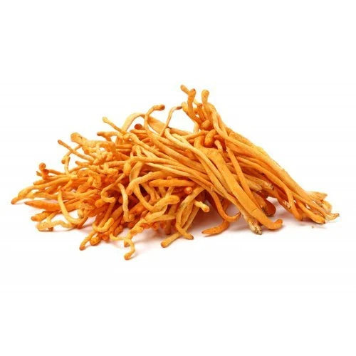 Premium Cordyceps Militaris – Natural Energy & Immunity Booster - 30 gm