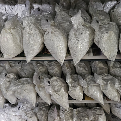 Oyster spawn 300 gram ( 25 packet ) for 50 Mushroom bed